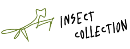 インセクトコレクション